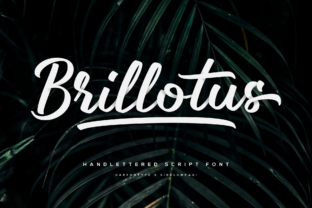 Brillotus: A Handwritten Font That Elevates Campaign Creativity