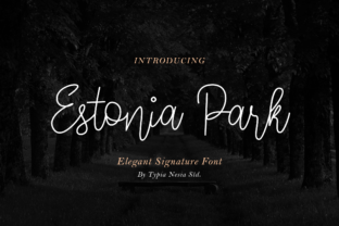 Estonia Park Font for Editorial Design and Content Creation