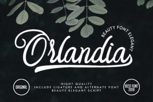 Orlandia Font for Modern Web Design
