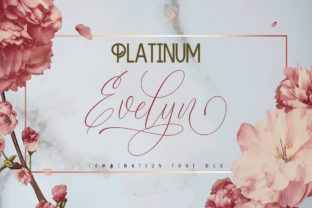 Platinum Evelyn Duo: A Font That Elevates Campaign Design