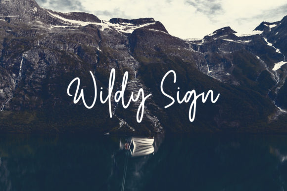 Wildy Sign: A Font That Elevates Brand Identity
