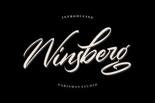 Winsberg: A Script Font for Editorial Design